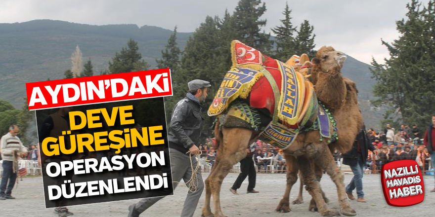 Aydın'da eve güreşine operasyon