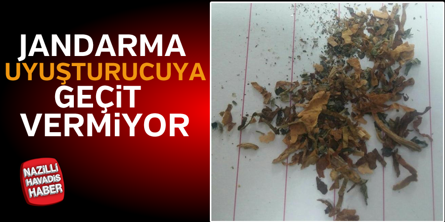 Jandarma uyuşturucuya geçit vermiyor