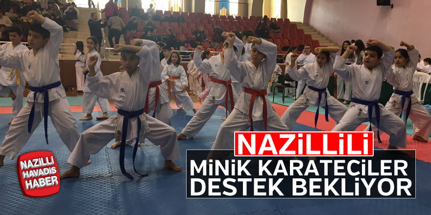 Minik karateciler destek bekliyor