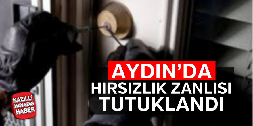 Aydın'da hırsızlık zanlısı tutuklandı