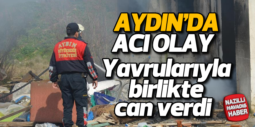 Aydın'da acı olay!