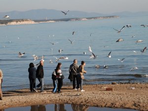Aralık Ayında Yazdan Kalma Bir Gün Yaşadı