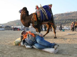 Devesi Şampiyon Olan Deveci’nin Keyfi