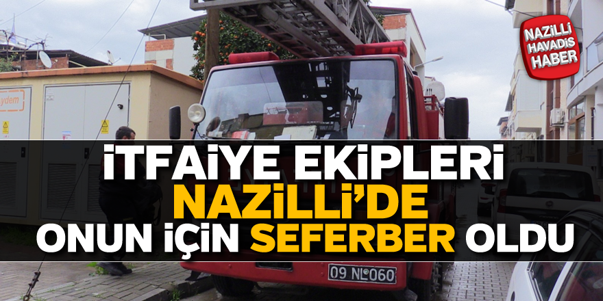 İtfaiye ekipleri Nazilli'de onun için seferber oldu