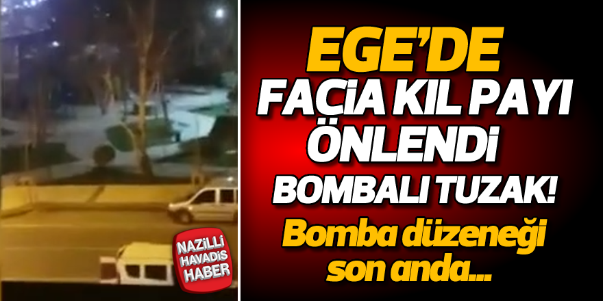 Ege'de facia kıl payı önlendi