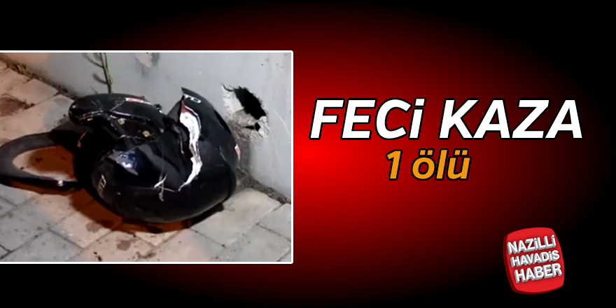 Feci kaza