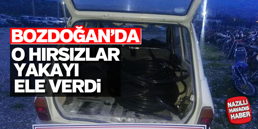 Bozdoğan'da o hırsızlar yakayı ele verdi