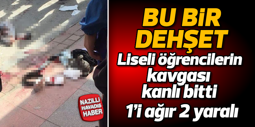 Liseli öğrencilerin kavgası kanlı bitti