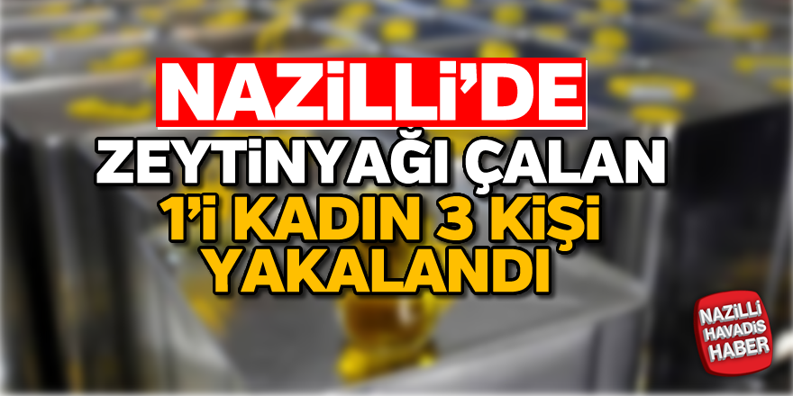 Nazilli'deki zeytinyağı hırsızları yakayı ele verdi