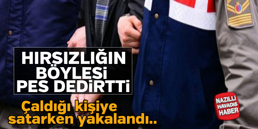 Bozdoğan'da hırsızlığın böylesi