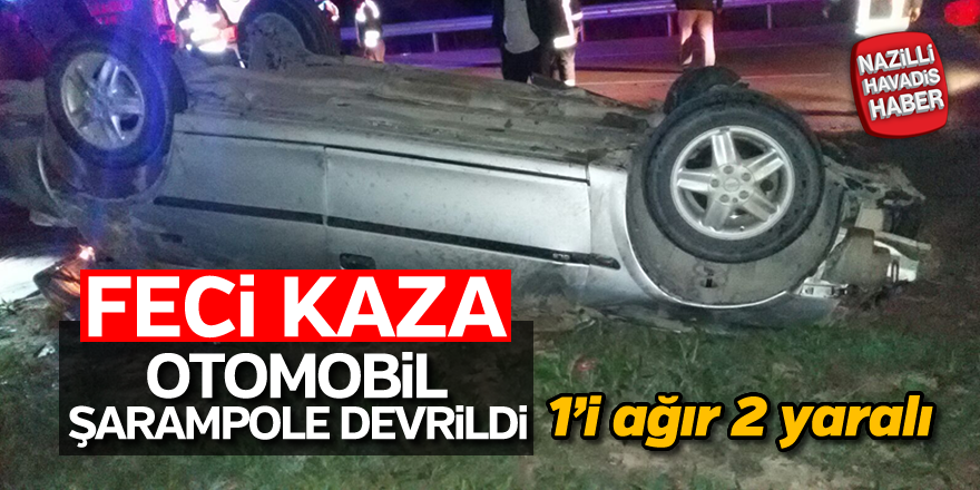 Otomobil şarampole devrildi; 2 yaralı