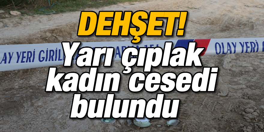 Yol kenarında yarı çıplak halde kadın cesedi bulundu