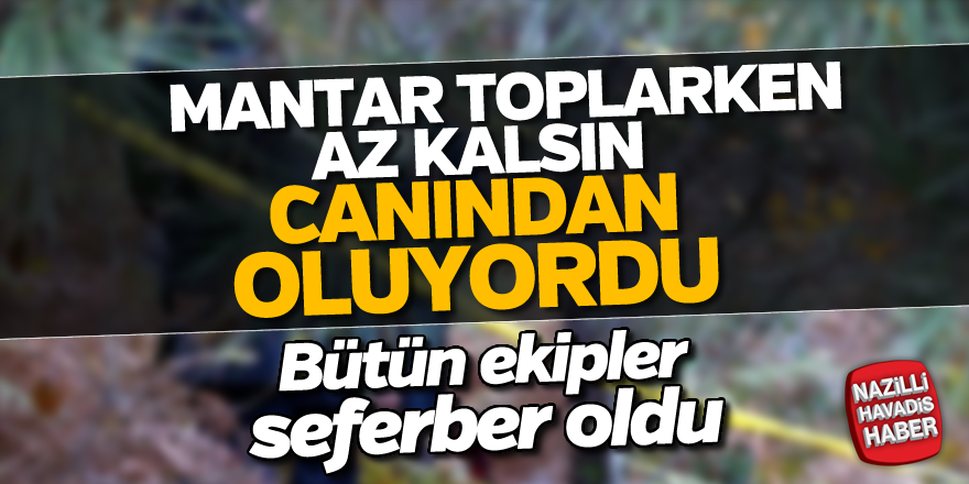 Mantar toplarken az kalsın canından oluyordu