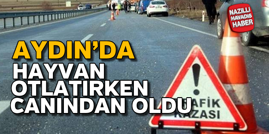 Hayvan otlatırken araba çarpan adam hayatını kaybetti