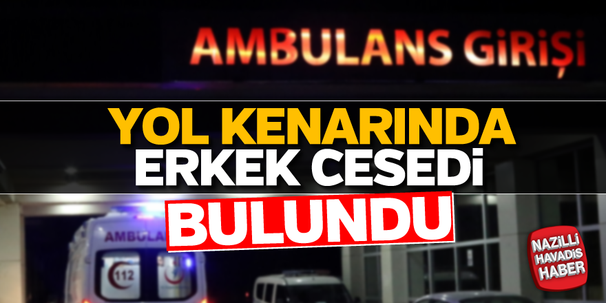 Yol kenarında erkek cesedi bulundu