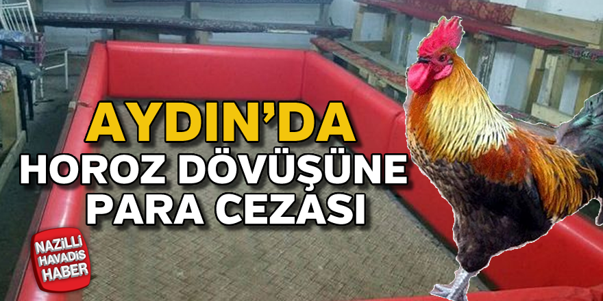 Aydın'da horoz dövüşüne para cezası