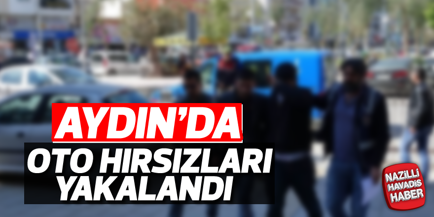 Aydın'da oto hırsızları yakalandı