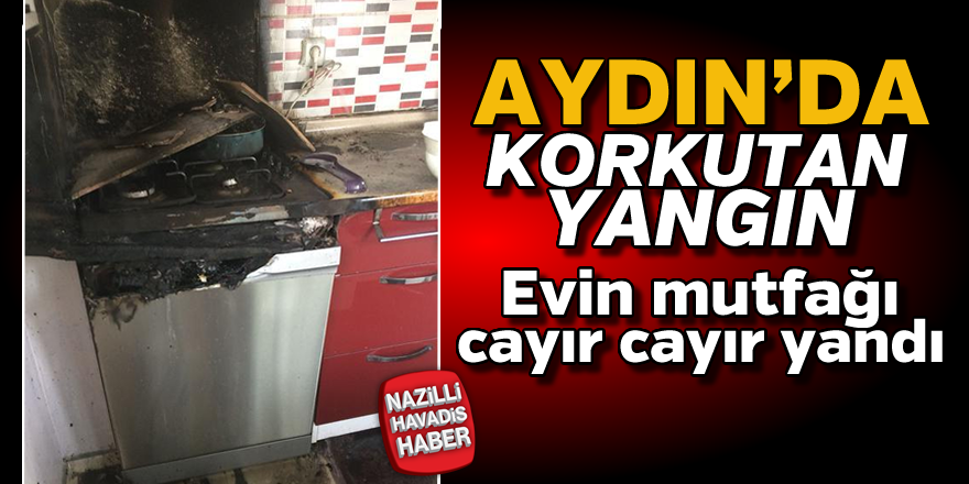 Aydın'da korkutan yangın