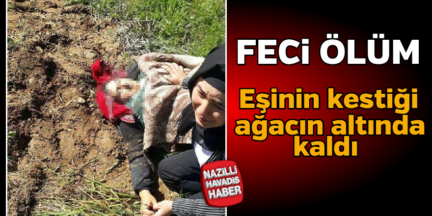 Feci ölüm ! Eşinin kestiği ağacın altında kaldı