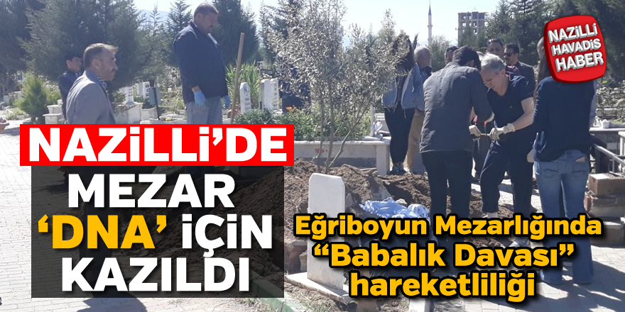 Eğriboyun Mezarlığında "Babalık Davası" hareketliliği