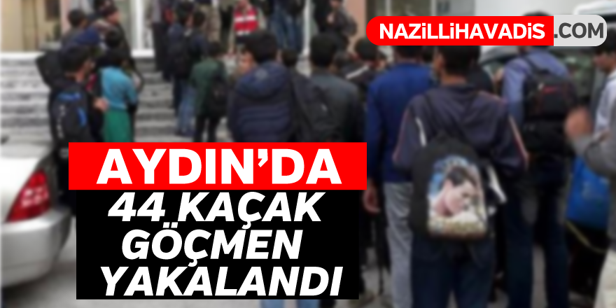 Aydın'da kaçak göçmen operasyonu