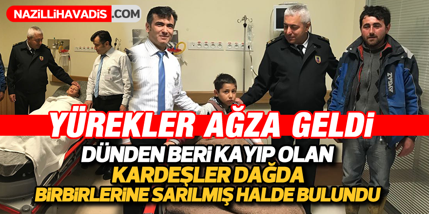 Geceyi dağda geçiren minik kardeşler bulundu