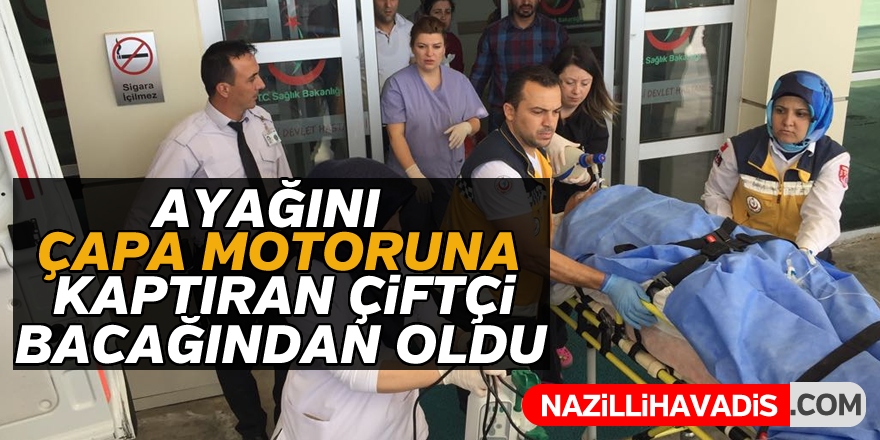 Tarlasını sürerken bacağından oldu