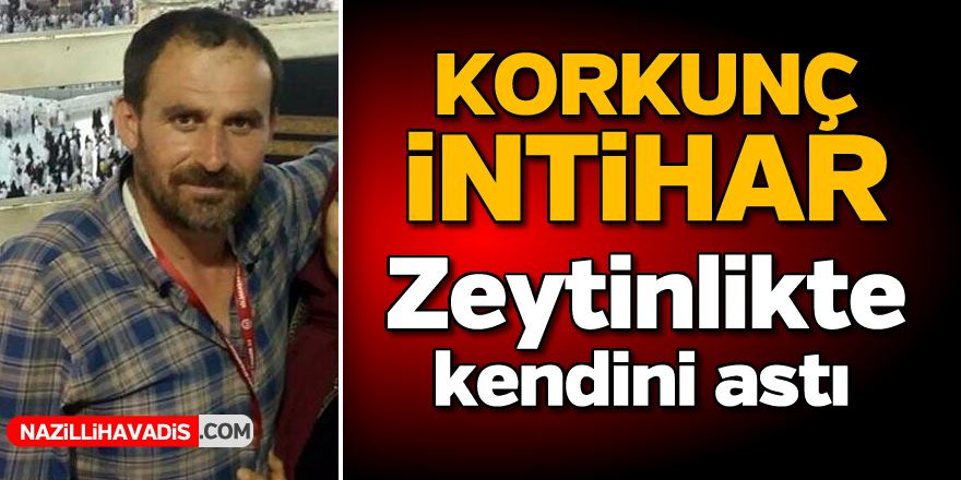 Korkunç intihar! Zeytinlikte kendini astı