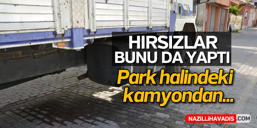 Aydın'da hırsızlar bunu da yaptı