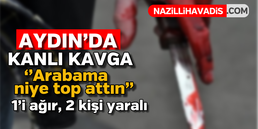 Aydın'da kanlı kavga