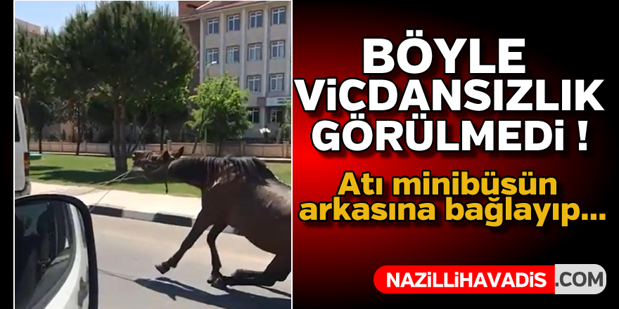 Vicdansızlığın böylesi !