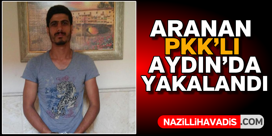 Aranan PKK'lı Aydın'da yakalandı