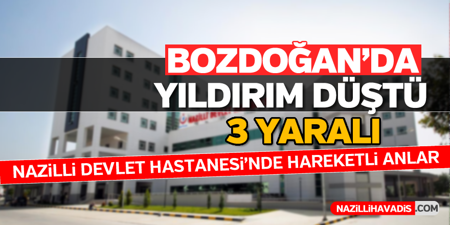 Bozdoğan'da yıldırım düştü