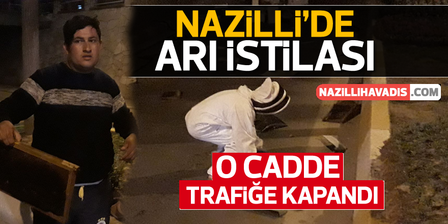 Nazilli’de arı istilası