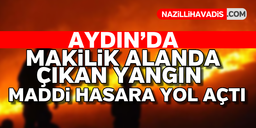 Aydın'da korkutan yangın