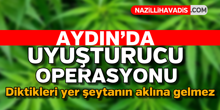 Aydın'da uyuşturucu operasyonu