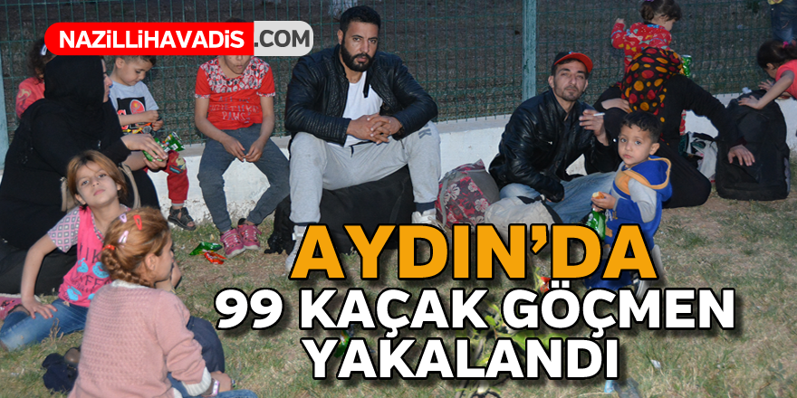 Aydın'da göçmen operasyonu