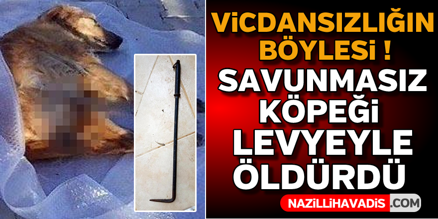 Vicdansızlığın böylesi !