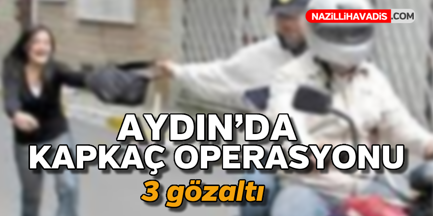 Aydın'da kapkaç operasyonu