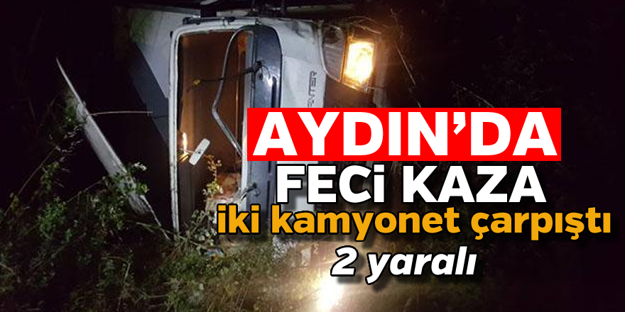 Aydın'da feci kaza: 2 yaralı