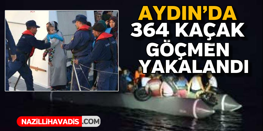 Aydın'da 364 kaçak göçmen yakalandı