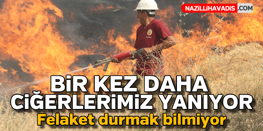 Ciğerlerimiz bir kez daha yanıyor !