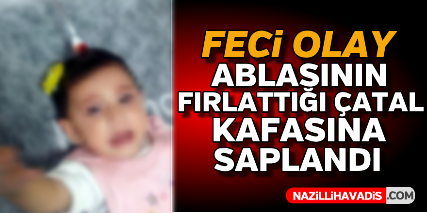 Ablasının fırlattığı çatal kardeşinin kafasına saplandı