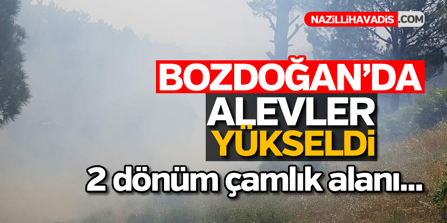 Bozdoğan'da alevler yükseldi