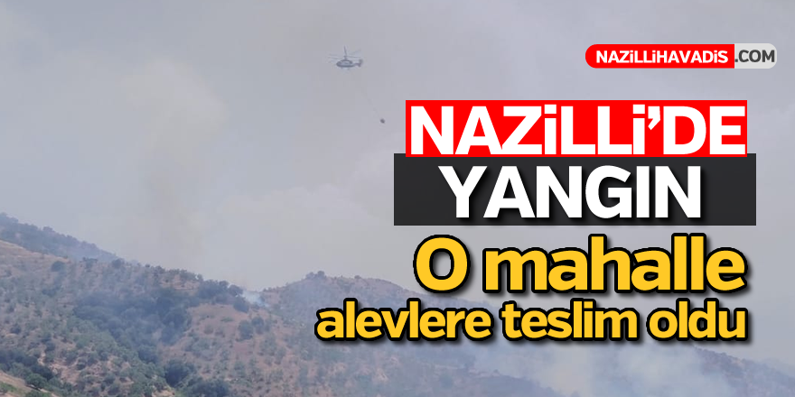 Nazilli'de alevler yükseldi