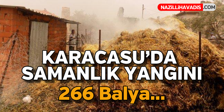 Karacasu'da samanlık yangını