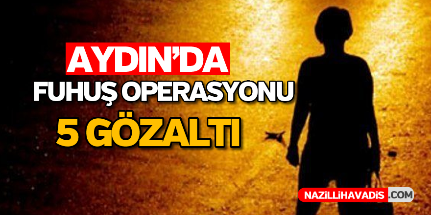 Aydın'da fuhuş operasyonu