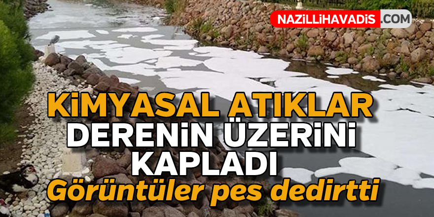 Kimyasal atıklar dereyi kapladı