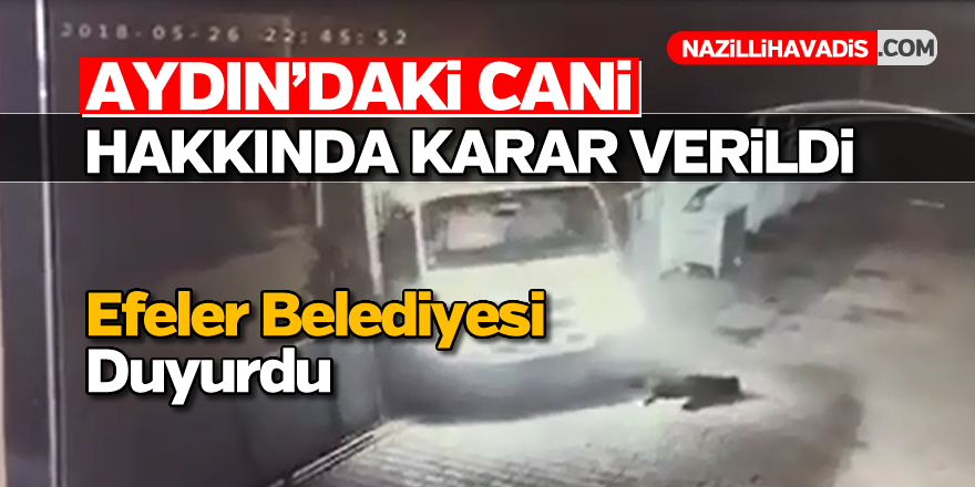 Aydın'daki cani hakkında karar verildi