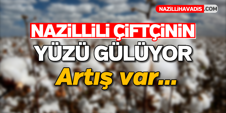 Nazillili çiftçinin yüzü gülüyor